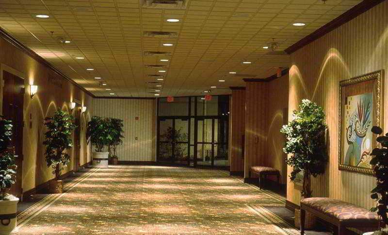 Sheraton Orlando Buena Vista Near Springs Hotel Lake Buena Vista
